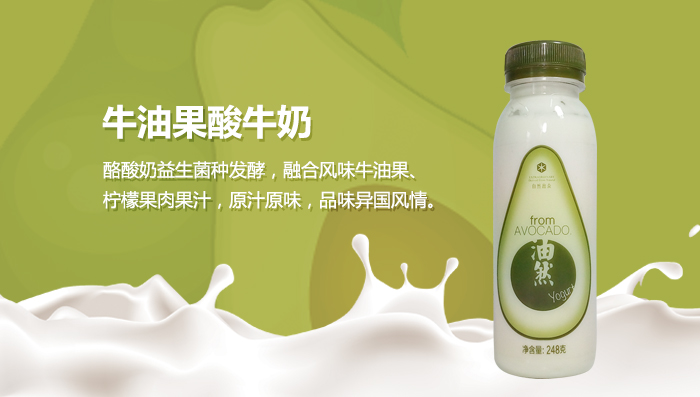 升泰悦享酸奶 风味发酵乳乳酸菌酸奶益生菌酸牛奶
