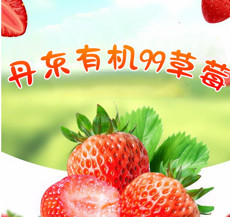 99草莓详情页_01.jpg