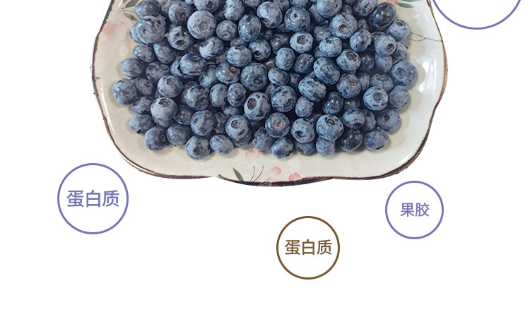 F4蓝莓_11.jpg