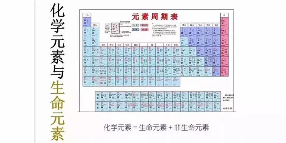 微信图片_20210622112937.jpg