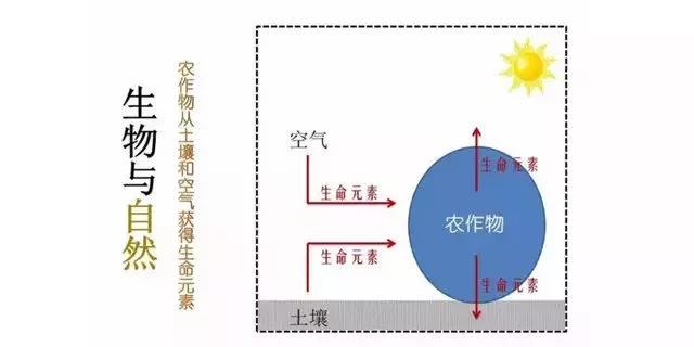 微信图片_20210622113128.jpg