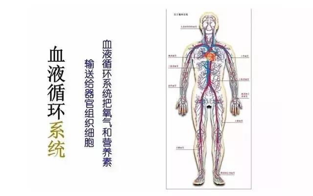 微信图片_20210622113836.jpg