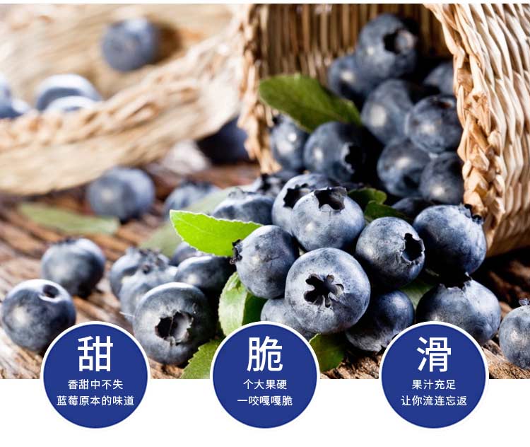 蓝莓---_04.jpg