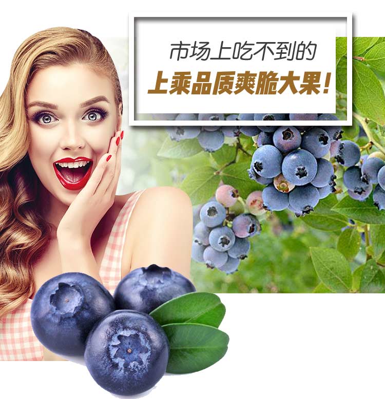 蓝莓---_07.jpg