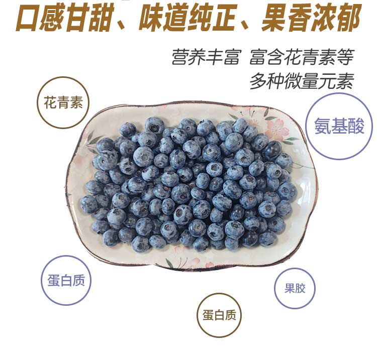 蓝莓---_08.jpg