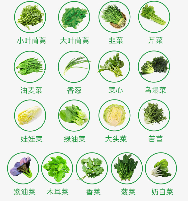 蔬菜_06.jpg