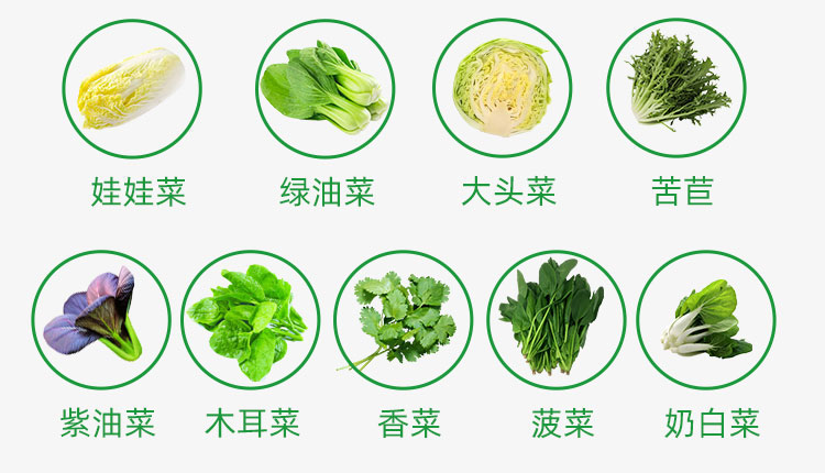 蔬菜_07.jpg