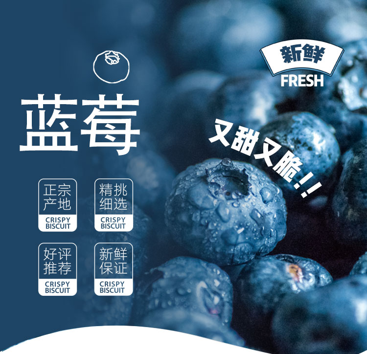 F4蓝莓_01.jpg