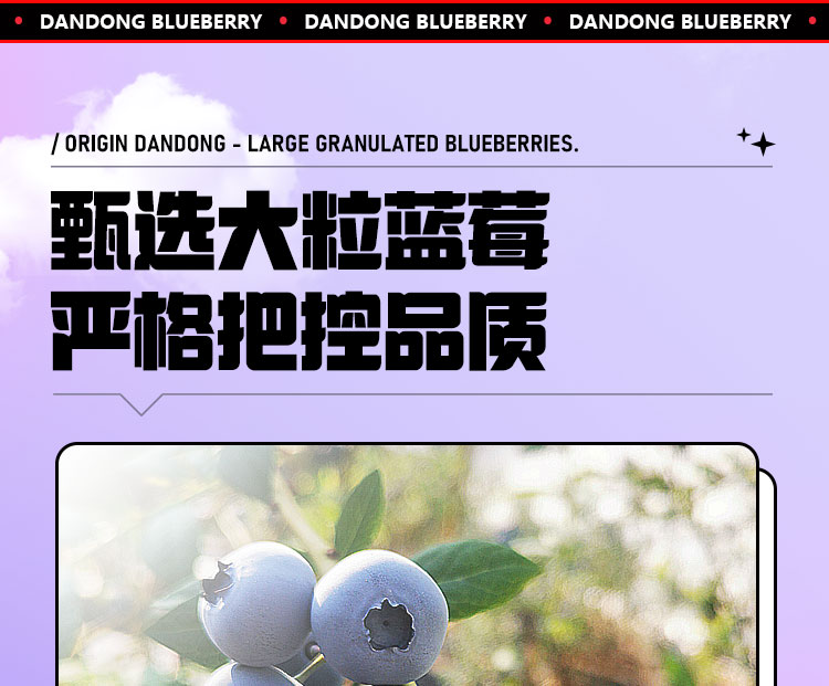 蓝莓详情页面_05.jpg