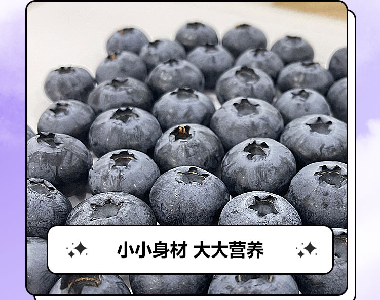 蓝莓详情页面_08.jpg