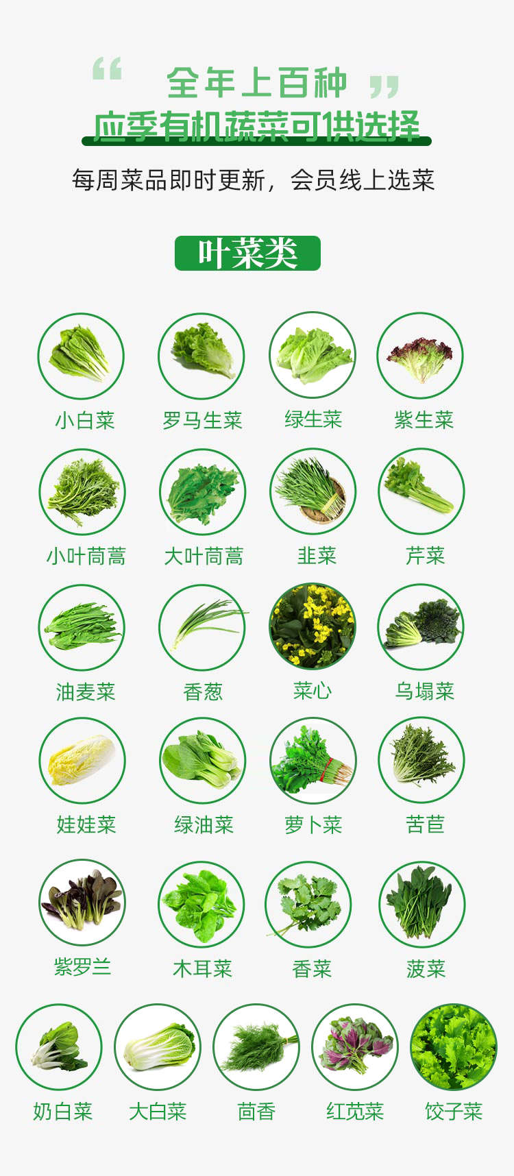 蔬菜详情图11(1).jpg