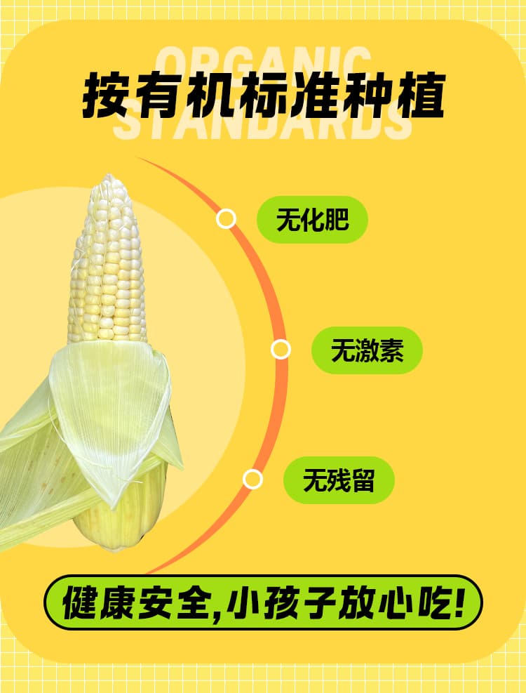 玉米详情页_03.jpg