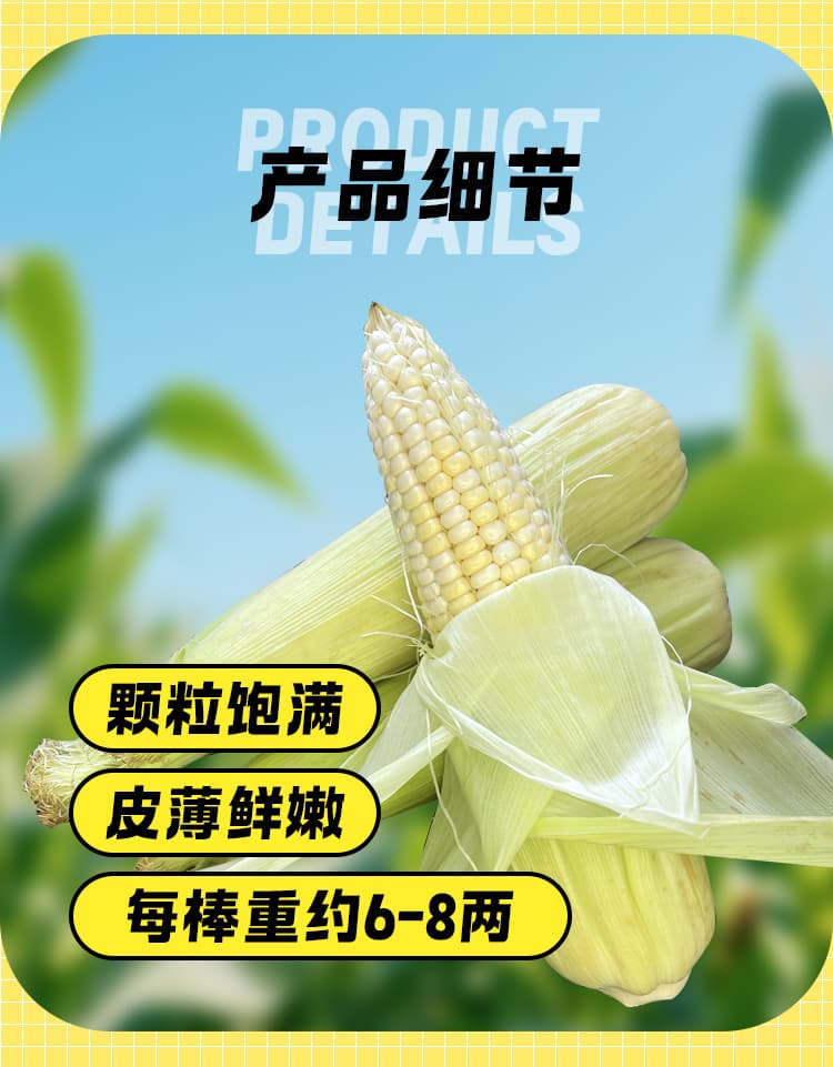 玉米详情页_04.jpg