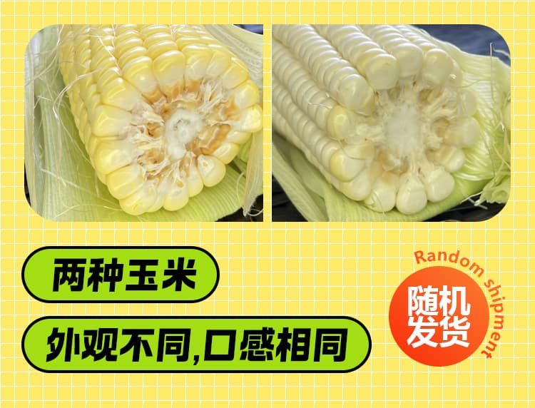 玉米详情页_05.jpg