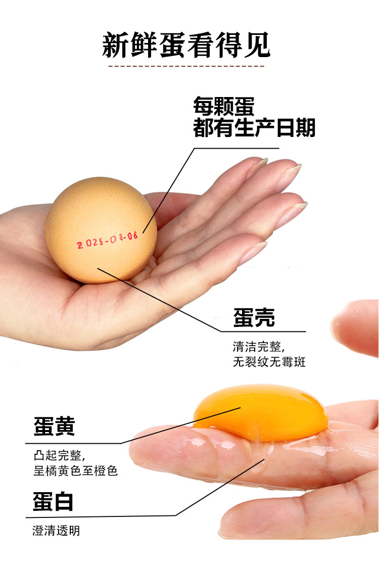 低胆固醇无菌蛋详情图_10.jpg