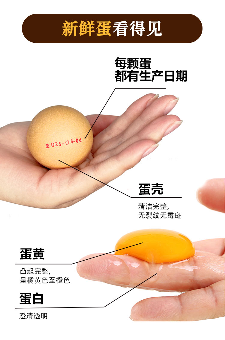 低胆固醇无菌蛋详情图_10.jpg