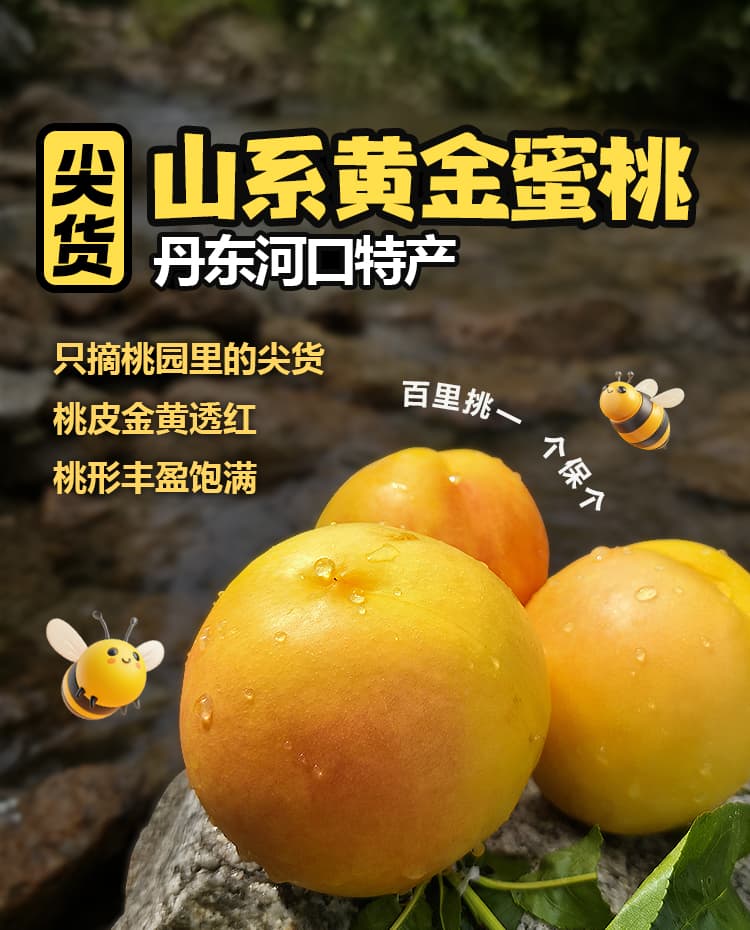 详情页---副本_02.jpg