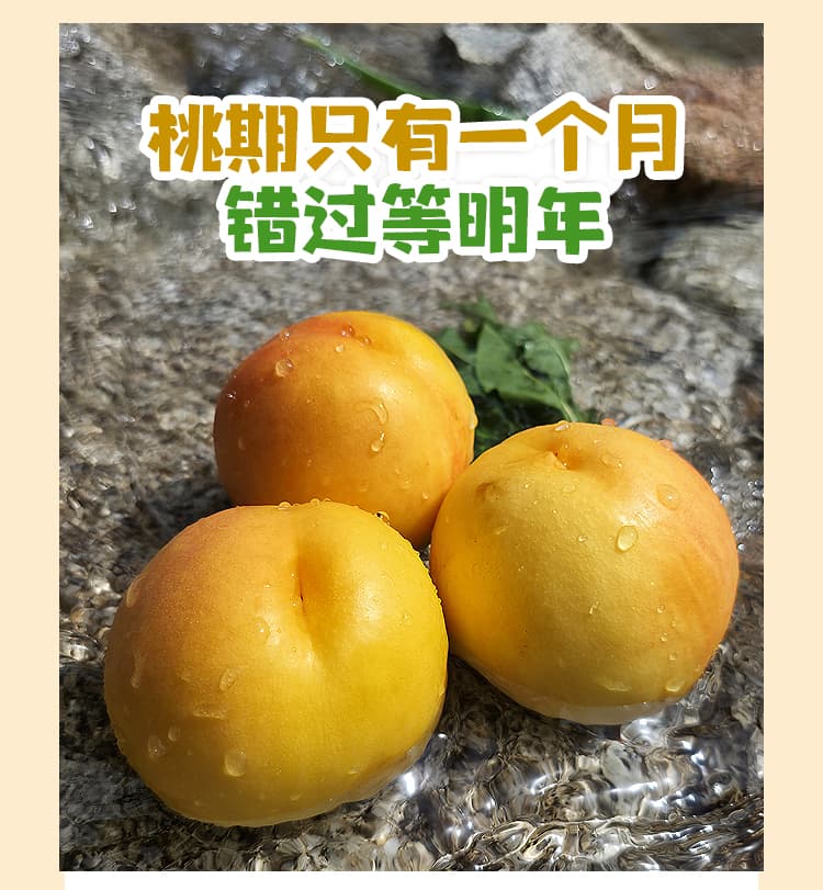 详情页---副本_05.jpg