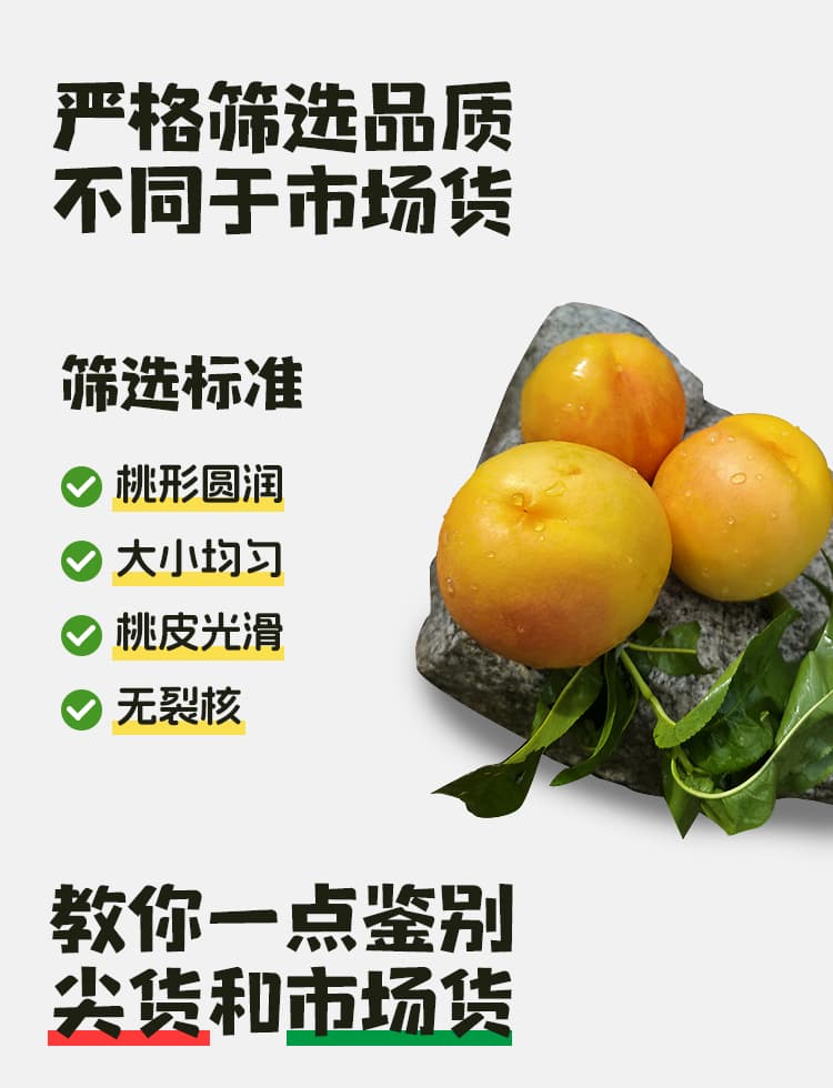 详情页---副本_09.jpg