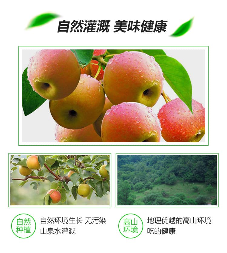 南果梨-精品详情页1_07.jpg