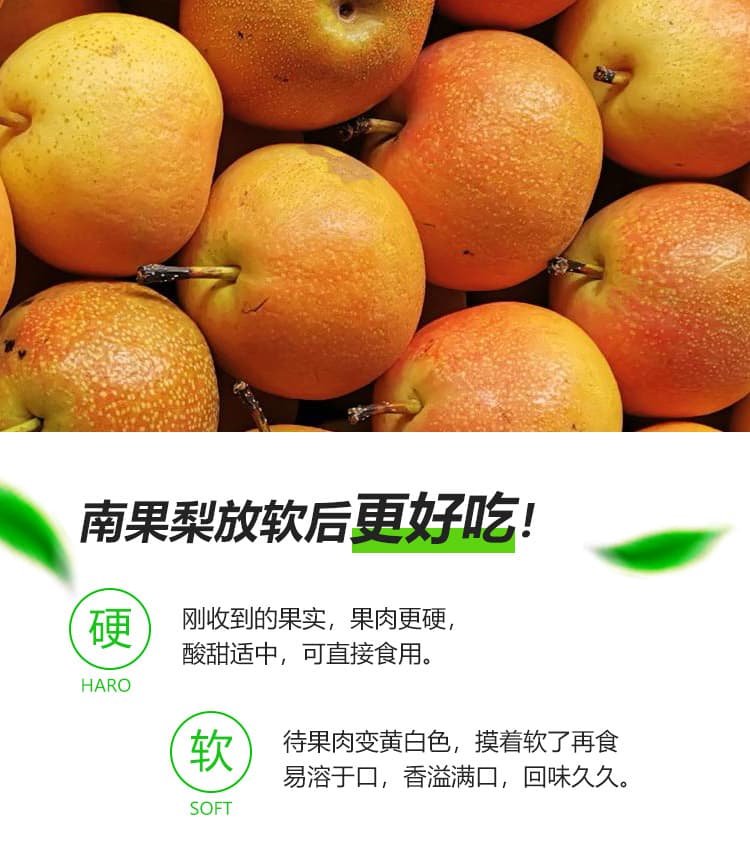 南果梨-精品详情页2_04.jpg