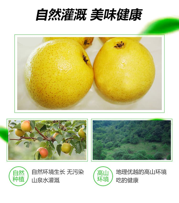 南果梨-家庭装_05.jpg