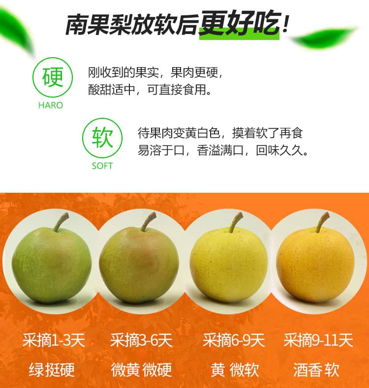 南果梨-家庭装_09.jpg