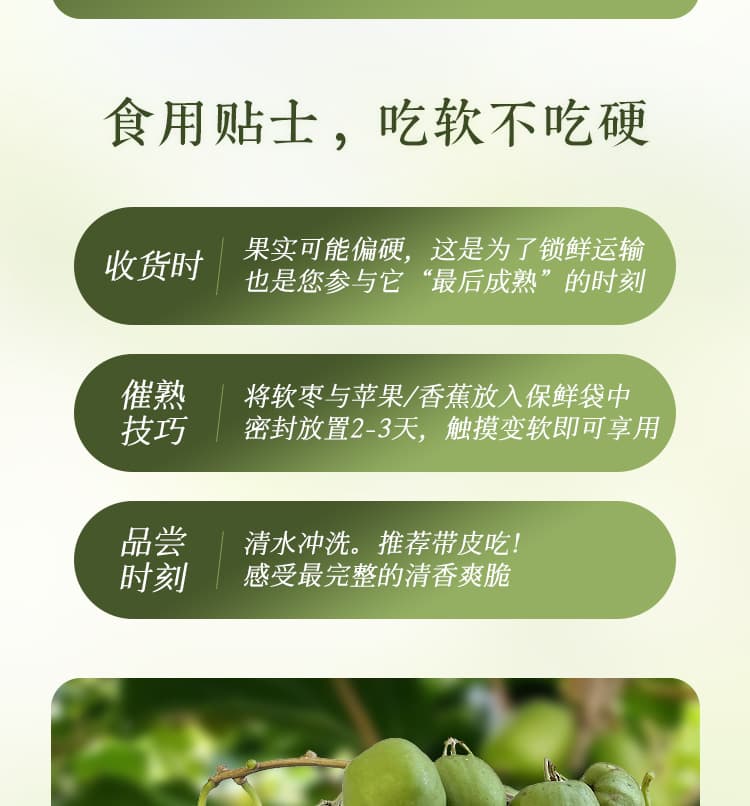 软枣详情_03.jpg