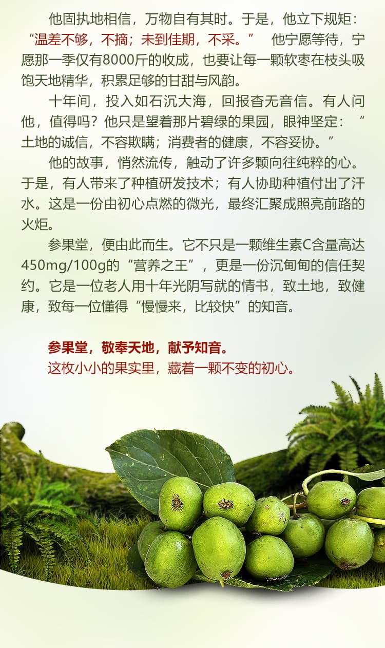 软枣详情2_05.jpg