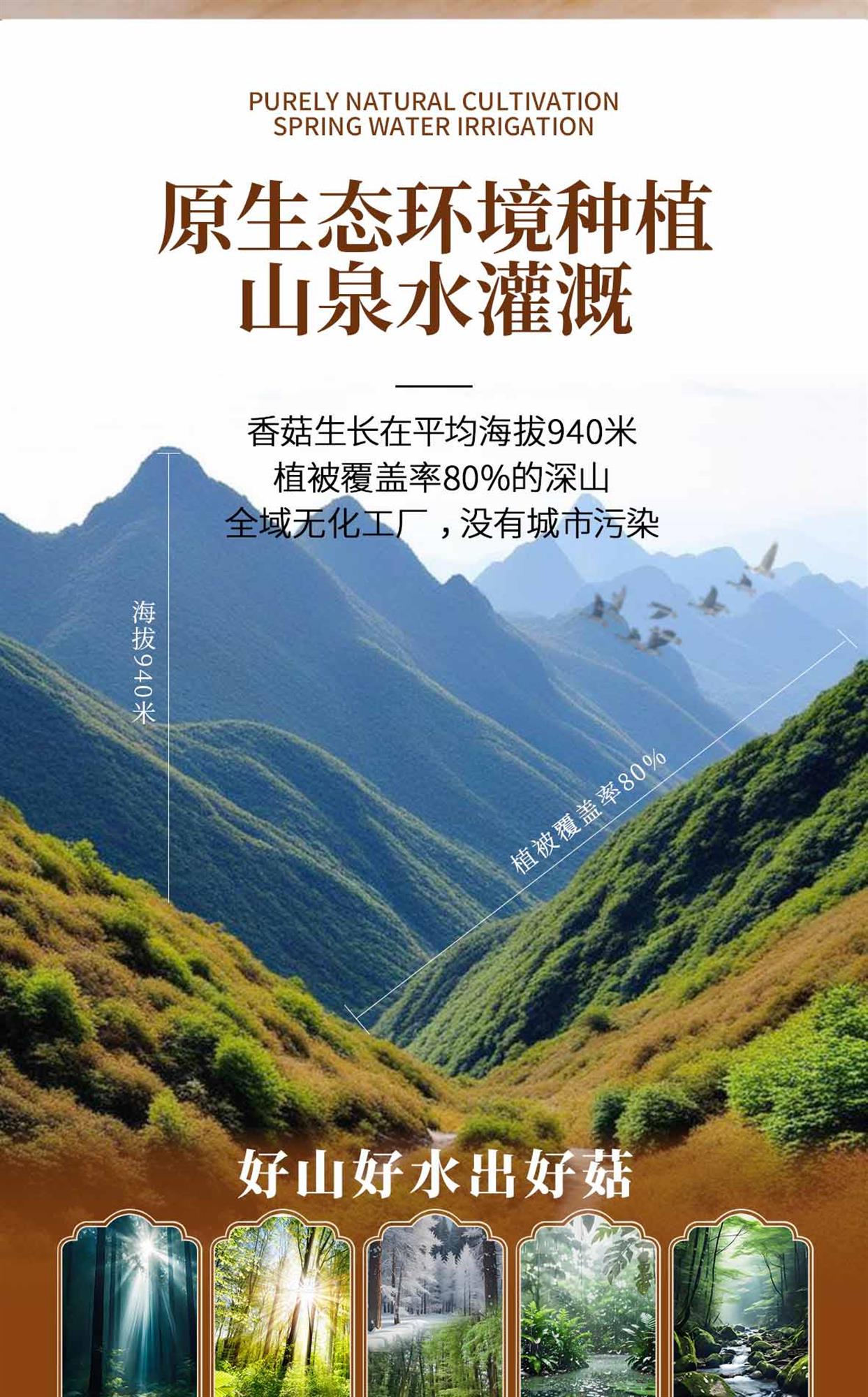 花菇详情页_04.jpg