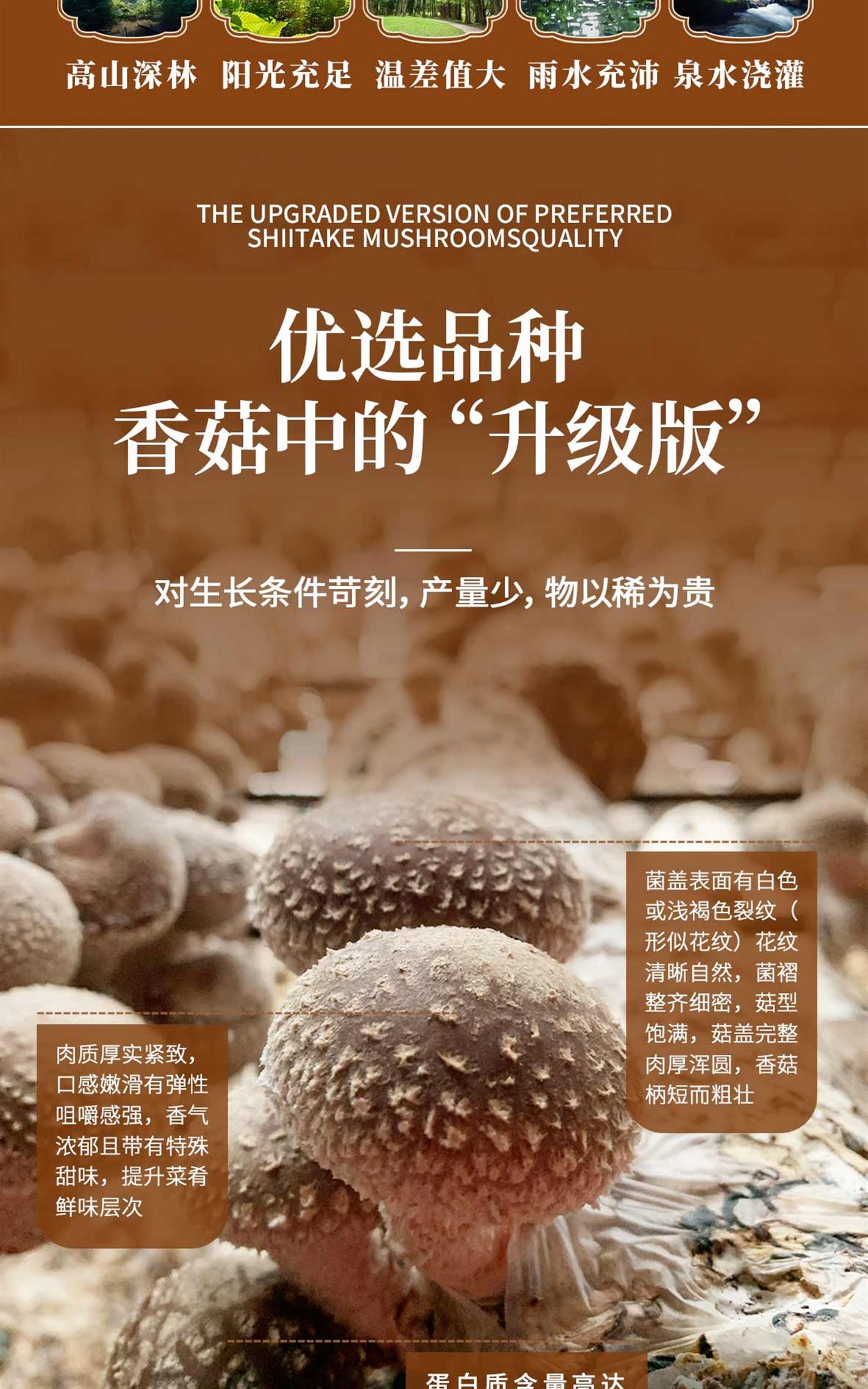 花菇详情页_05.jpg