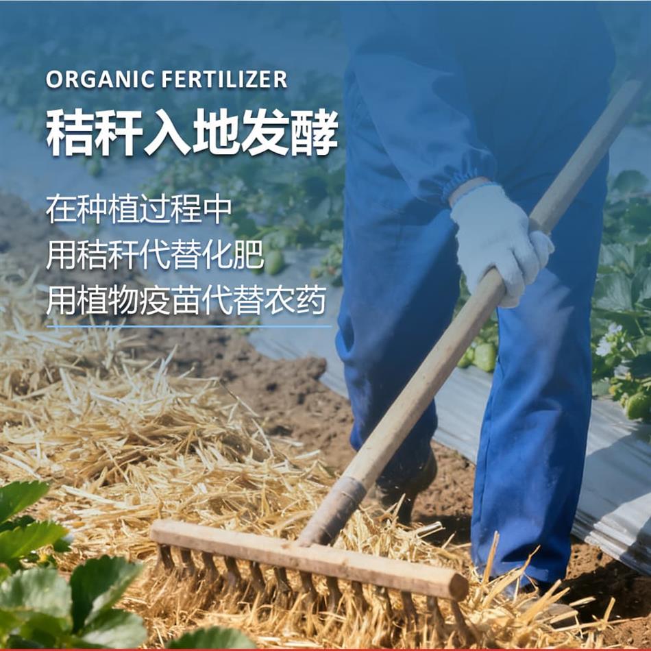 详情图_06.jpg 详情图_06.jpg