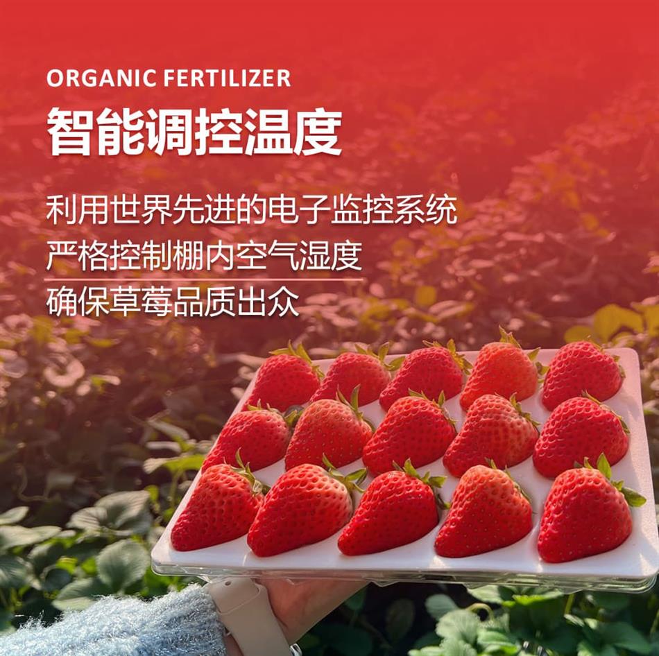 详情图_07.jpg 详情图_07.jpg