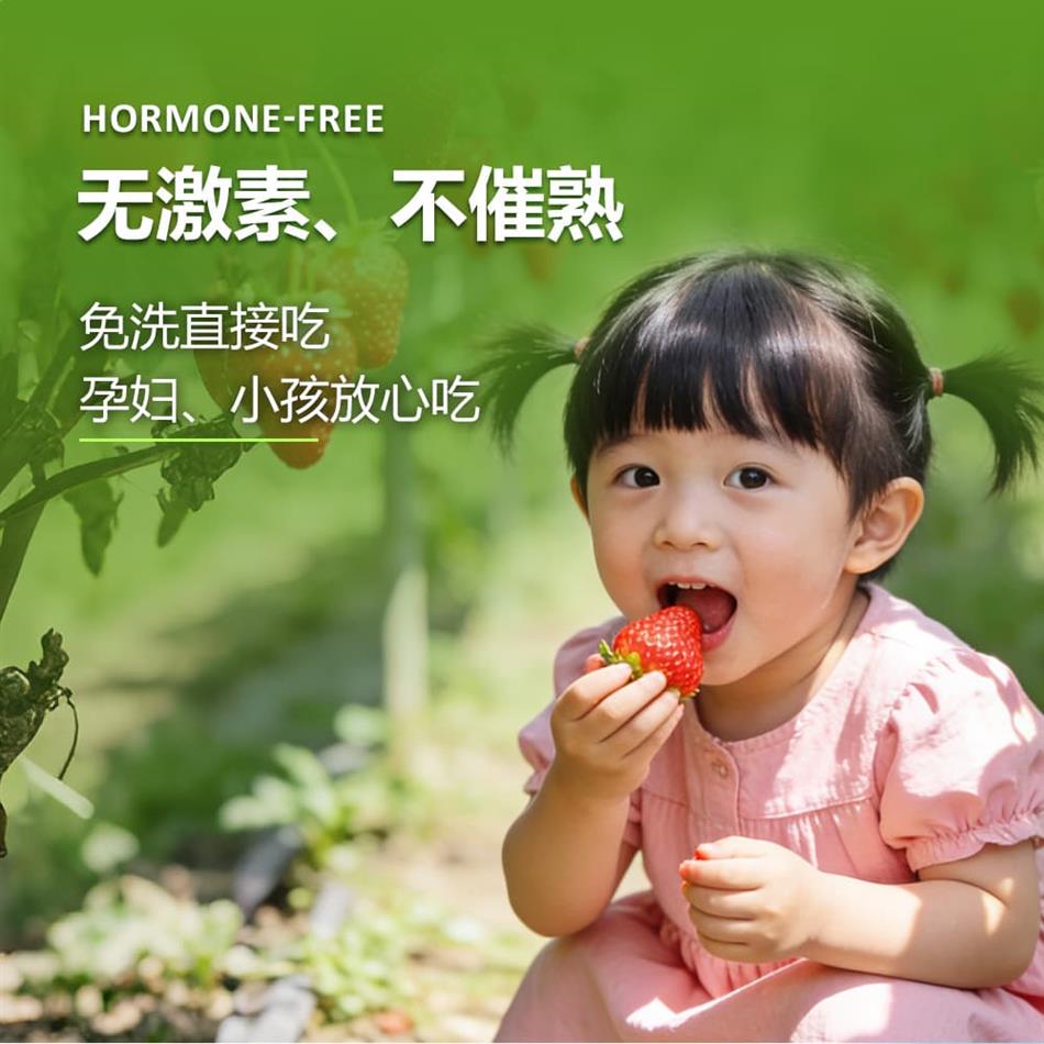 详情图_08.jpg 详情图_08.jpg