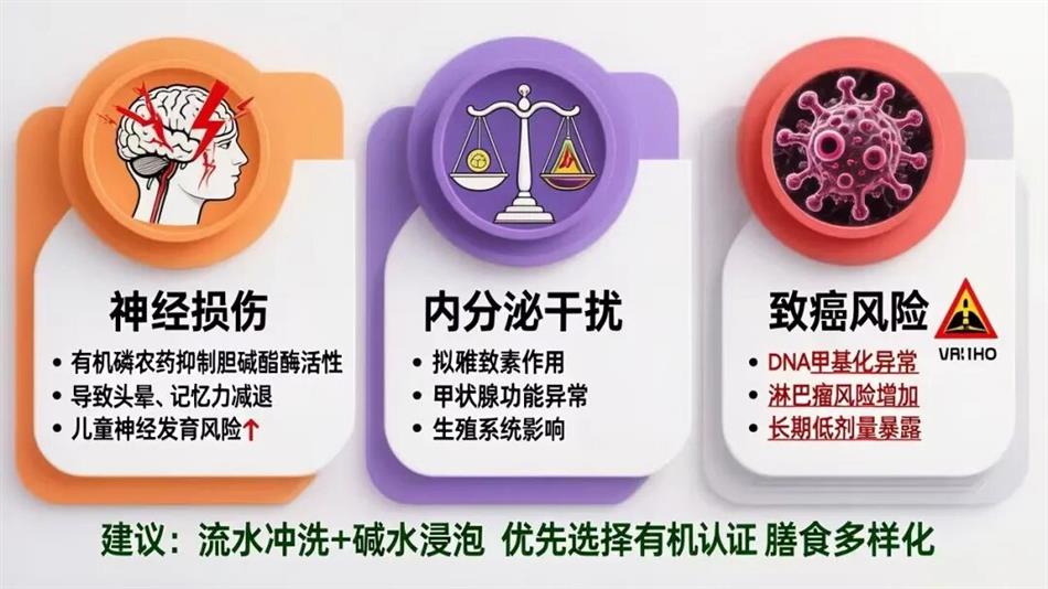 微信图片_2025-12-15_131617_238.jpg 微信图片_2025-12-15_131617_238.jpg