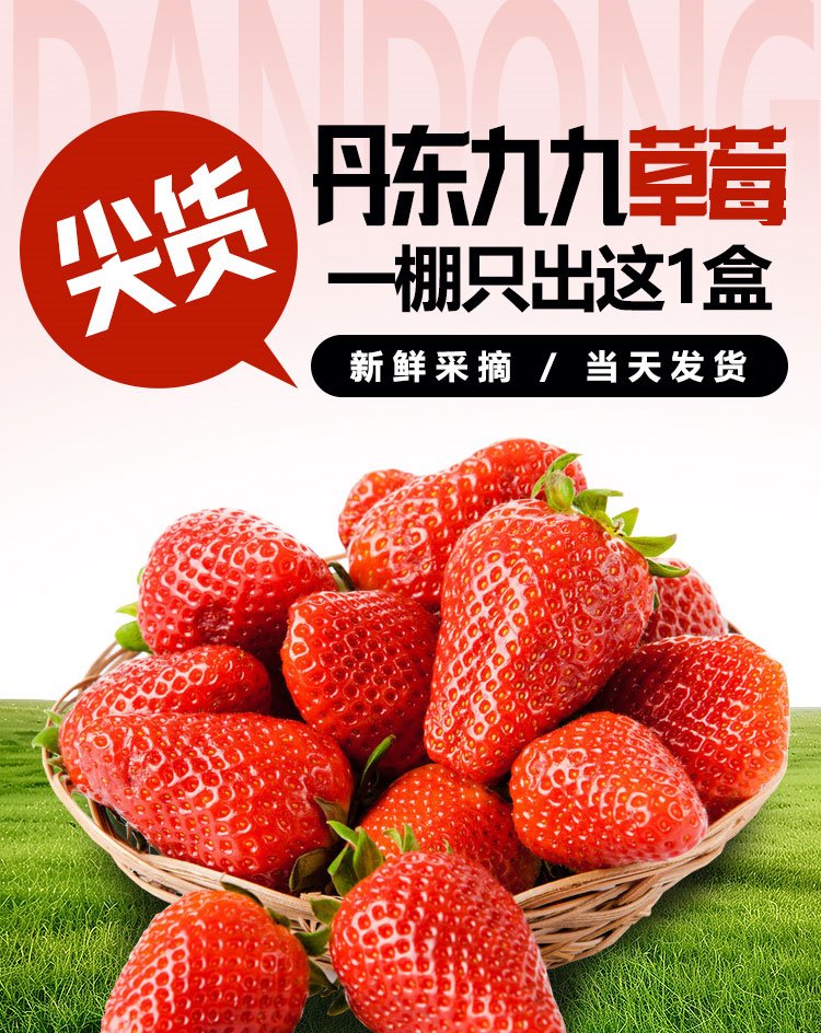 草莓_01_副本.jpg