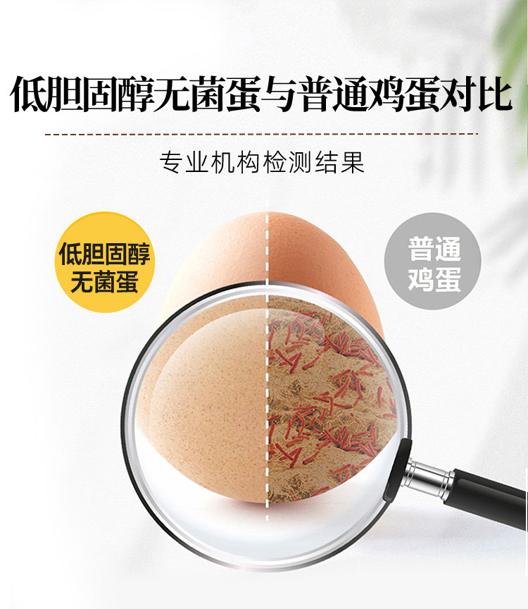 低胆固醇无菌蛋详情图_03.jpg