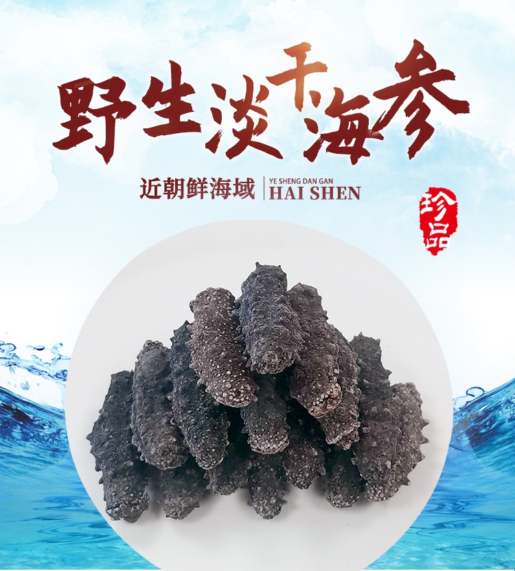 朝鲜淡干海参-_01.jpg