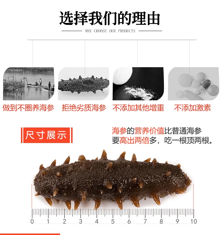 朝鲜淡干海参-_04.jpg