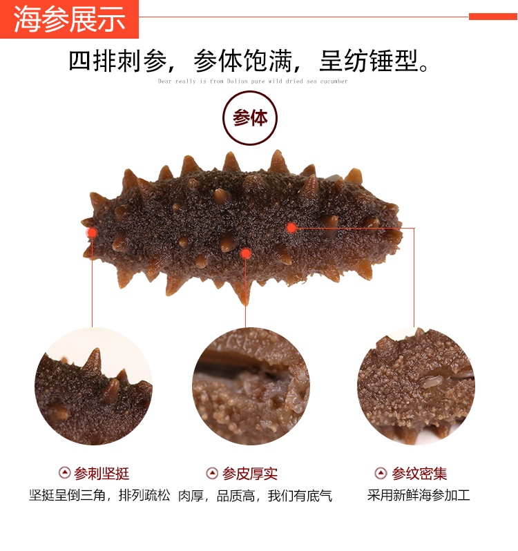 朝鲜淡干海参-_05.jpg
