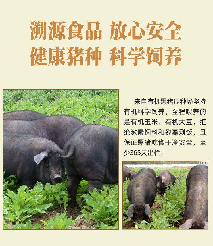 猪头肉_03.jpg