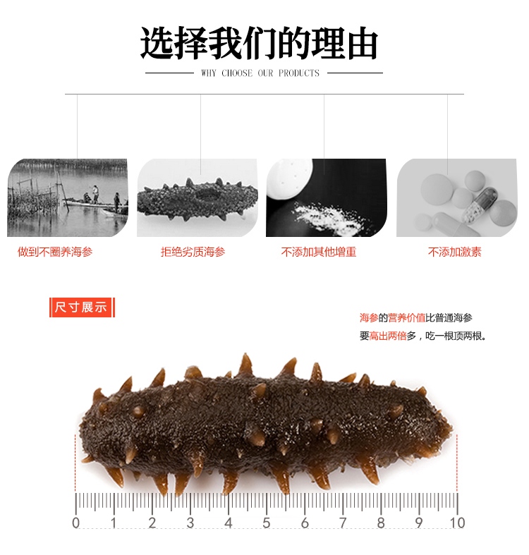 朝鲜淡干海参_04.jpg