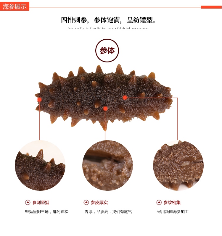 朝鲜淡干海参_05.jpg
