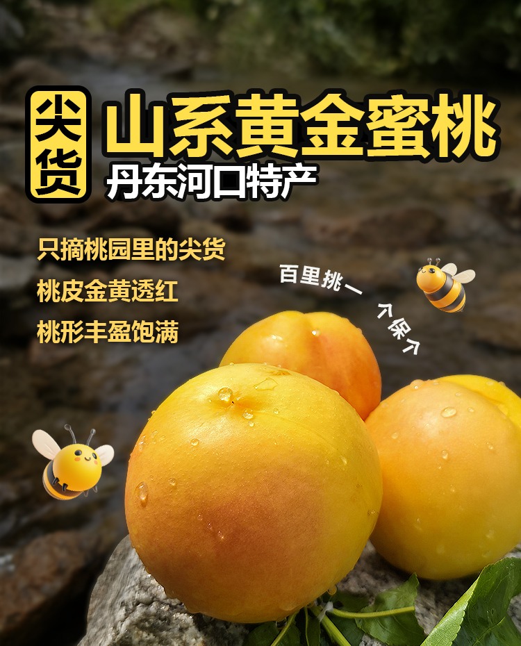详情页---副本_02.jpg 详情页---副本_02.jpg