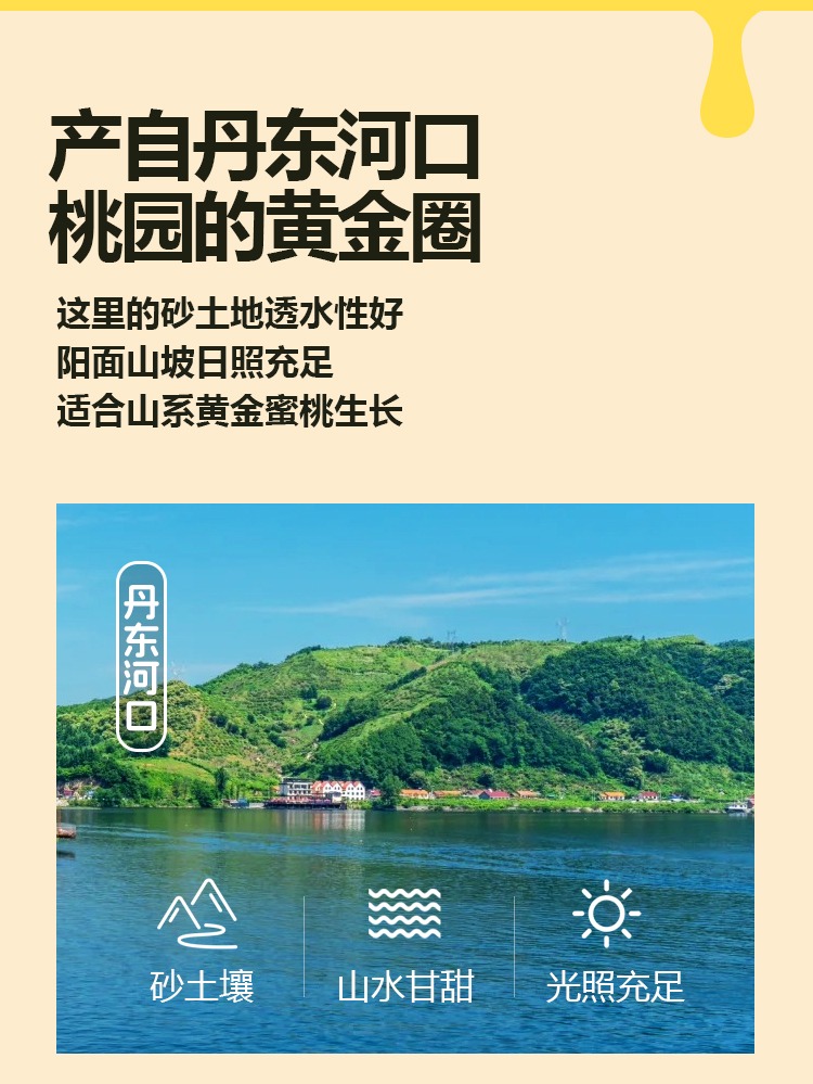 详情页---副本_04.jpg 详情页---副本_04.jpg