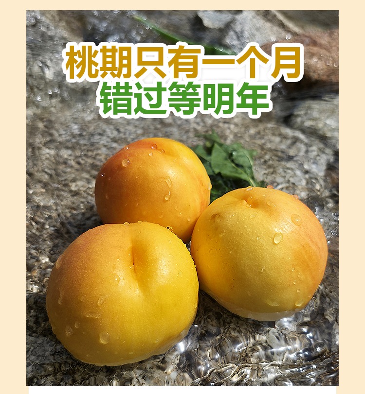 详情页---副本_05.jpg 详情页---副本_05.jpg