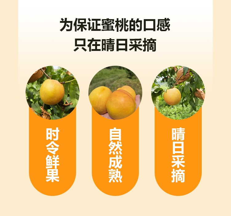 详情页---副本_06.jpg 详情页---副本_06.jpg