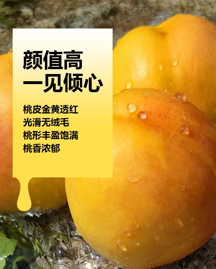 详情页---副本_07.jpg 详情页---副本_07.jpg