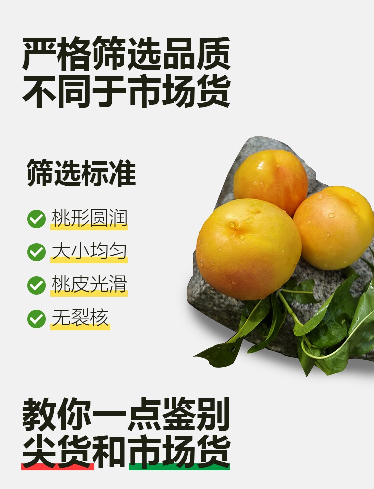 详情页---副本_09.jpg 详情页---副本_09.jpg