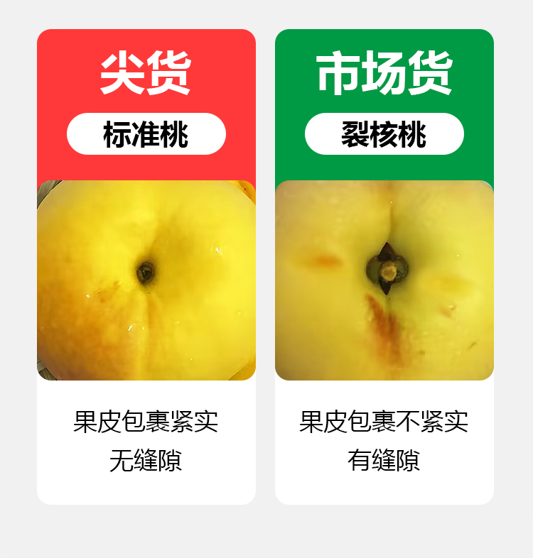 详情页---副本_10.jpg 详情页---副本_10.jpg